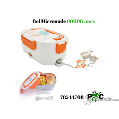 mini micro-onde lunch box electric